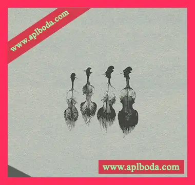 [弦乐四重奏音源]Wrongtools Feathersome Strings [KONTAKT]（5.4Gb）