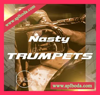 [爵士灵魂RnB采样]Steve Pageot Nasty Trumpets [WAV]（7Mb）