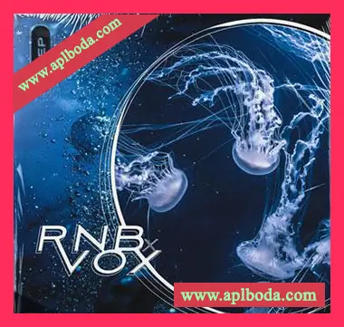 [RnB人声采样]2DEEP RnB X Vox [WAV]（234Mb）