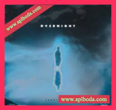 [灵魂流行RnB陷阱采样]LoneGud Overnight Sample Pack [WAV]（801Mb）