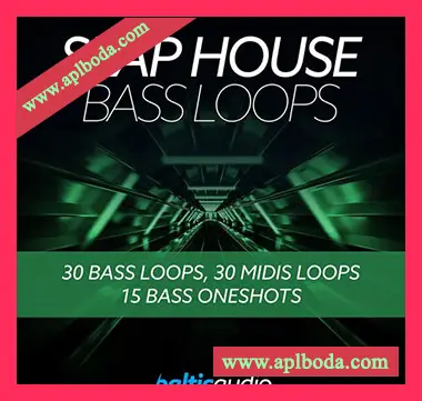 [House浩室素材]Baltic Audio Slap House Bass Loops [WAV, MiDi]（141Mb）