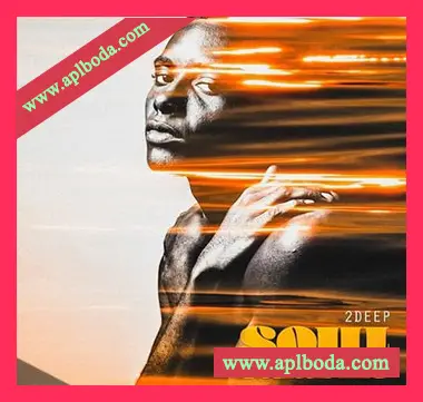[灵魂RnB采样]2DEEP Soul Samples [WAV]（223Mb）