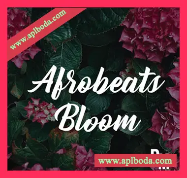 [非洲节奏素材]Beast Mode Afrobeats Bloom [WAV, MiDi]（84Mb）