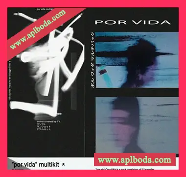 [RnB采样]TY Por Vida (Multi Kit) [WAV]（87Mb）