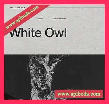 [嘻哈陷阱采样]AngelicVibes White Owl [WAV]（280Mb）