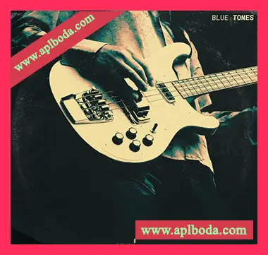 [爵士布鲁斯贝斯铜管吉他采样]Touch Loops Blue Tones [WAV]（347Mb）