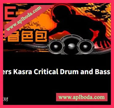 [鼓打贝斯素材]Loopmasters Kasra Critical Drum and Bass Vol.2 [多格式]（535Mb）