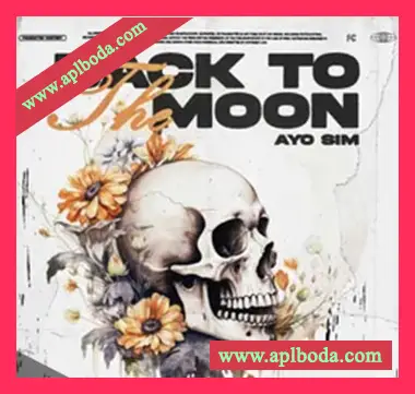 [氛围驰放乐素材]Sim Back to the Moon Bundle [WAV, MiDi]（358Mb）