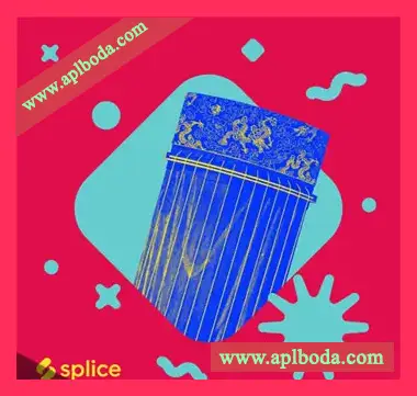 [十三弦古筝采样音源]Splice Originals Koto with Sumie Kaneko（652Mb）