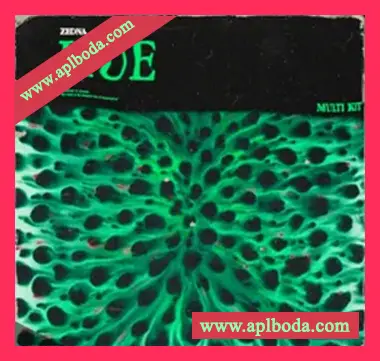 [灵魂嘻哈素材Analog Lab预置]zedna Hue (Multi Kit) [WAV, MiDi]（140Mb）