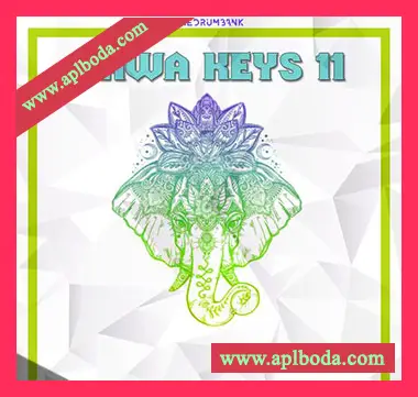 [民族乐器采样]Dynasty Loops Bawa Keys 11 [WAV]（28Mb）