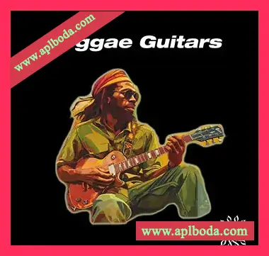 [雷鬼Dub吉他采样]38 Live Vibes Reggae Guitars [WAV]（32Mb）