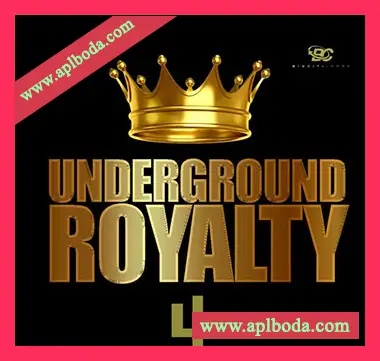 [灵魂RnB采样]Big Citi Loops Underground Royalty 4 [WAV]（71Mb）
