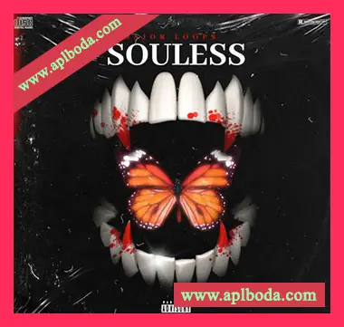 [Trap陷阱采样]Dynasty Loops Souless [WAV]（27Mb）