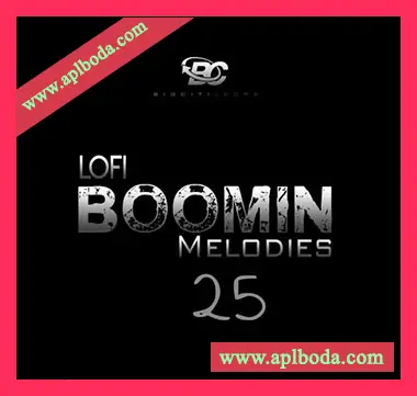 [低保真嘻哈陷阱RnB采样]Big Citi Loops Lofi Boomin Melodies 25 [WAV]（50Mb）