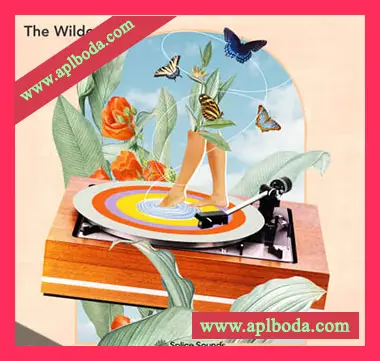 [流行电子放克RnB采样Serum预置]Splice Sounds The Wildcardz Sample Pack Vol.1（656Mb）
