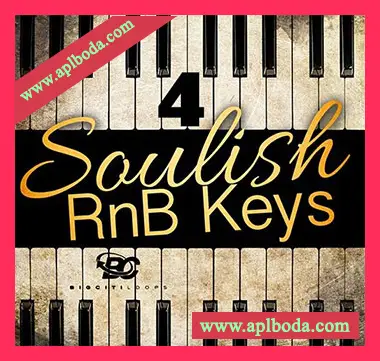 [灵魂爵士RnB福音乐钢琴采样]Big Citi Loops Soulish RnB Keys 4 [WAV]（409Mb）