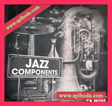 [爵士布鲁斯采样]New Beard Media Jazz Components Vol.1 [WAV]（67Mb）