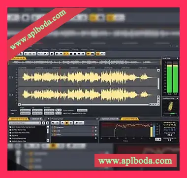 [噪音消除]Acon Digital AudioLava 2 v2.0.2 [WiN, MacOSX]（64Mb）