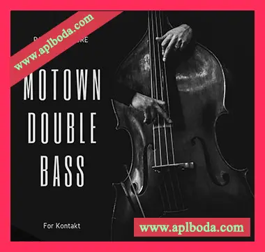 [低音提琴音源]PastToFutureReverbs Motown Double Bass [KONTAKT]（42Mb）