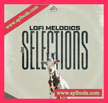 [低保真嘻哈说唱采样]MSXII Lofi Melodics Selections [WAV]（32Mb）
