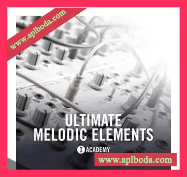 [浩室采样]Toolroom Academy Ultimate Melodic Elements [WAV]（246Mb）