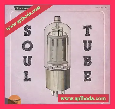 [灵魂RNB素材]Patchbanks Soul Tube Vol.1 [AiFF]（222Mb）