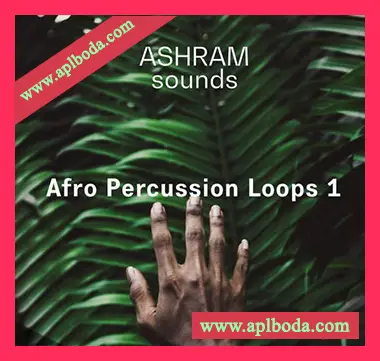 [Tribal深邃浩室打击乐采样]Riemann Kollektion ASHRAM Afro Percussion Loops 1 [WAV]（69Mb）
