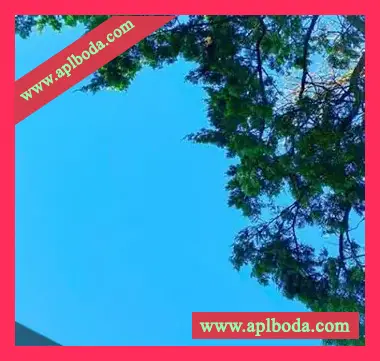 [电子乐采样]rosewither New Samples [WAV]（123Mb）