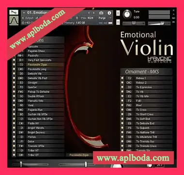 [情感小提琴音源]Best Service Emotional Violin [KONTAKT]（6.42Gb）