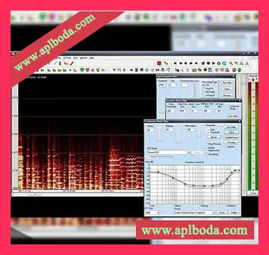 [降噪修复工具]Diamond Cut Audio Restoration Tools v10.08-CRD（34Mb）