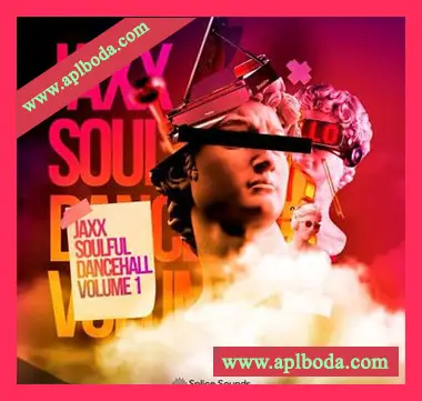 [Dancehall采样]Splice Sounds JAXX Soulful Dancehall Volume 1 [WAV]（709Mb）