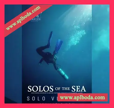 [独奏小提琴音源]Performance Samples Solos of the Sea Solo Violin A [KONTAKT]（160Mb）