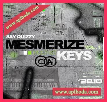 [氛围弛放采样Analog Lab预置]Say Quizzy Mesmerize Keys Multi Kit [WAV]（187Mb）