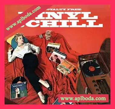[灵魂嘻哈RnB采样]Sami The Producer Vinyl and Chill [WAV]（266Mb）