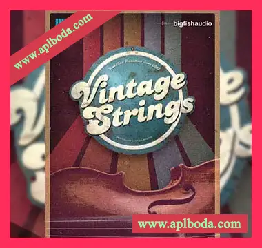 [复古弦乐音源]Funk Soul Productions Vintage Strings [KONTAKT]（4.73Gb）