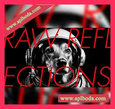 [Imaginando VS预置电子乐]Imaginando VS Raw Reflections by Perplex On（576.9Mb）