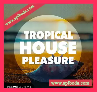 [休闲热带舞曲素材Spire预置Sylenth1预置Serum预置]Big EDM Tropical House Pleasure [WAV, MiDi]（1.08Gb）