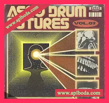 [流行非洲节奏鼓组采样]RARE Percussion Afro Drum Futures vol.3 [WAV]（324Mb）
