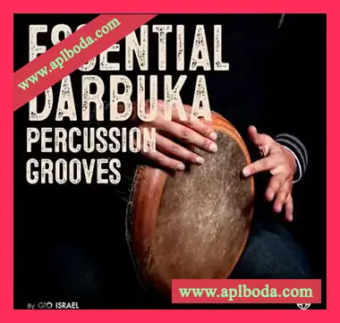 [土耳其打击乐Darbuka采样]Gio Israel Essential Darbuka Percussion Grooves [WAV]（193Mb）