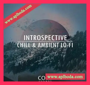 [低保真氛围驰放乐采样]Code Sounds Introspective Chill and Ambient Lo-Fi [WAV]（687Mb）