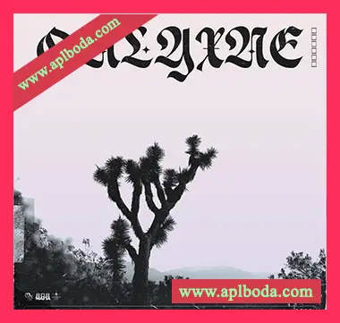 [嘻哈说唱采样FL混音预置]Onlyxne 808 Mafia Multi-Kit 0002（404Mb）