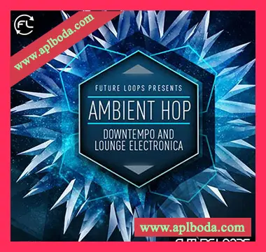 [氛围嘻哈采样]Future Loops Ambient Hop [WAV]（318Mb）