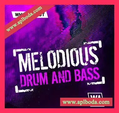 [鼓打贝斯素材Serum预置FL模板]WA Production Melodious Drum and Bass [WAV, MiDi]（554Mb）