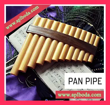 [印第安排箫采样]Pulsed Records World Series Pan Pipe [WAV]（118Mb）