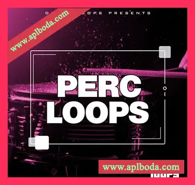 [影视打击乐采样]Big Citi Loops Perc Loops [WAV]（29Mb）