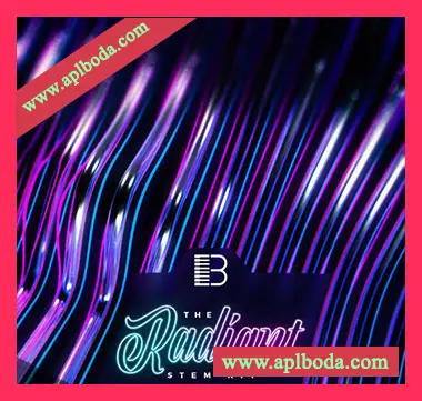 [Trap陷阱采样]Big Citi Loops Radiant Loop Pack Vol.2 [WAV]（141Mb）