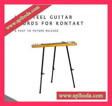 [独特钢吉他和弦音源]PastToFutureReverbs Lap Steel Guitar Chords [KONTAKT]（806Mb）