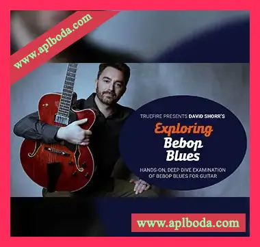 [教程]Truefire David Shorr’s Exploring Bebop Blues（5.06Gb）