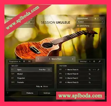 [尤克里里音源]Native Instruments Session Ukulele [KONTAKT]（12.3Gb）
